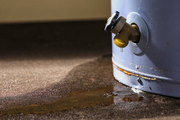 Best Water damage cleanup near me  in Dover, OH