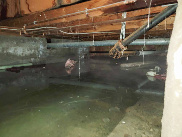 Best Sewage cleanup and water damage restoration  in Dover, OH