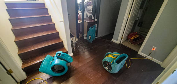 Best Flood damage cleanup  in Dover, OH