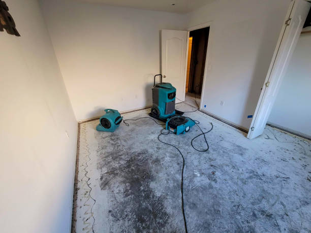 Best Commercial water damage restoration  in Dover, OH
