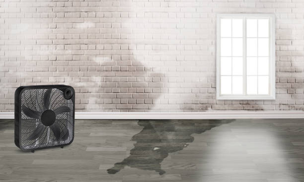 Best Water damage restoration near me  in Dover, OH