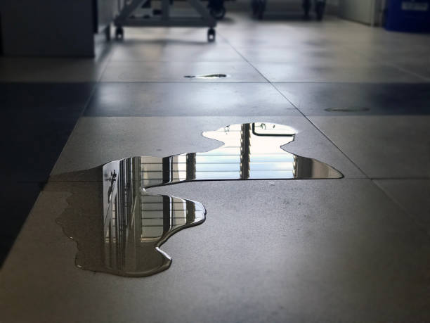 Best Water damage restoration near me  in Dover, OH