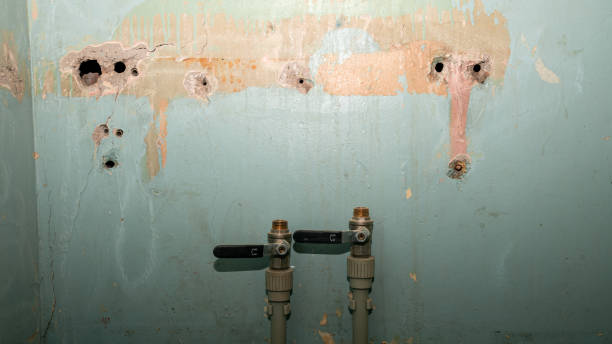Best Flood restoration services  in Dover, OH